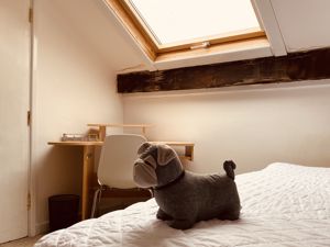 Photo 10- click for photo gallery